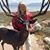 Inge Smith's profile image