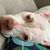T Ann McElroy's profile image