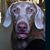 Kimberly Ciferri's profile image