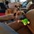 Gina Peoples's profile image