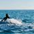 Shelley Eby Kelly's profile image