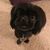 Michelle Rohl's profile image