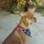 Joy Redden's profile image