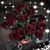 Nicole S Gonzales's profile image