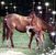 Bobbie Howell Dalton's profile image