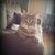Mary Ann Cruise's profile image