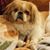Carolyn Brown's profile image