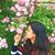 Ria Mukherjee's profile image