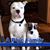Terri Gillen Perez's profile image