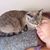 Marcelle Torbert's profile image