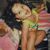 Erline Hankammer's profile image