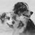 Robert Unger's profile image