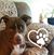 Lisa Thomas Hawkins's profile image