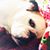 Gretchen Schweiss's profile image