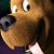 Scooby Scharf's profile image