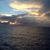 Sandra Bowers Withers's profile image