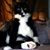 Brenda Law's profile image