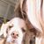 Steffannee Roe's profile image