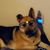 Kelly Krieger Mandel's profile image