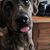 Kjersten Gordon Hewitt's profile image