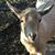 Brian King's profile image