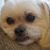 Sunshine Flanagan's profile image