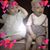 Dianne Adair-Degenhardt's profile image