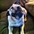 Shelley Eads's profile image