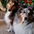 Judith L. Humphrey's profile image