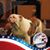 Don Bryson's profile image