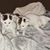 Cassi Ragsdale's profile image
