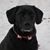 Tonia Maier's profile image