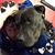 Melissa Bell's profile image