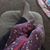 Carrie Cleminson's profile image