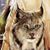 Dakota Lynn Johnson's profile image