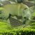 Skylar Betsinger's profile image