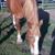 Ashley Mathes's profile image