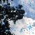 Angie Willingham Urquhart's profile image