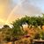 Judy Evans's profile image