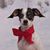 Heidi Snelson's profile image