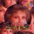 Mary Nowak's profile image