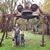 Daniel Trombley's profile image