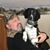 Tim Schmidt's profile image