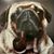 Kevin Ross's profile image