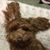 Brenda Bailey's profile image
