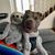 Marissa Jocson Victorino's profile image