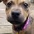 Patricia Karen Cowan's profile image
