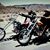 Dennis Paplow's profile image