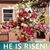 Susan Fillippeli's profile image