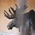Tracy Clemens's profile image